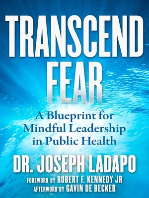 cover image of Transcend Fear
